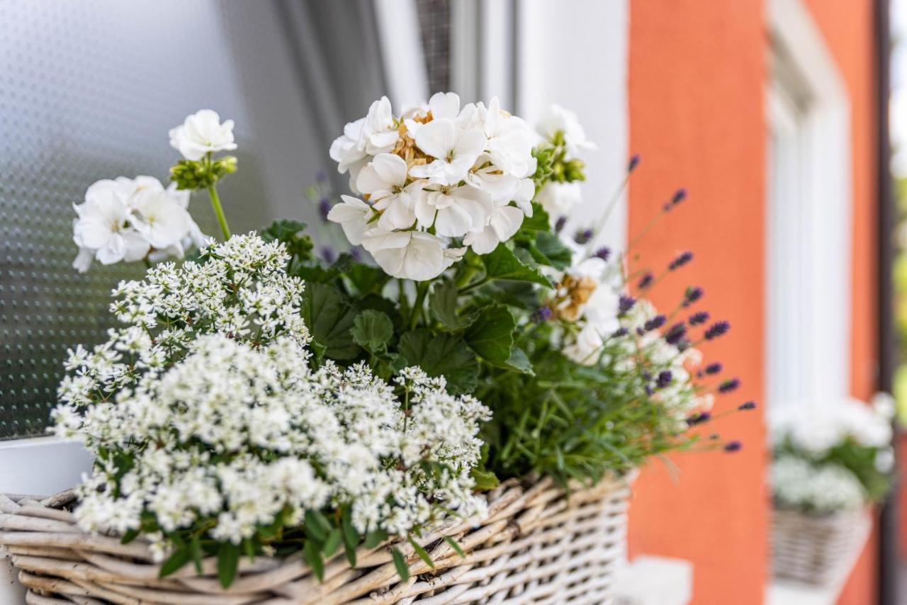 Ferienwohnung Lammerberg Albstadt Luaran gambar